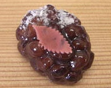 上生菓子