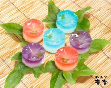 夏の上生菓子・お中元の上生菓子