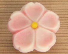 上生菓子 主菓子