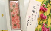 �J�[�l�[�V�����n��َq