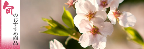 �a�َq �� �V�� �t �����َq�M�t�g
