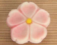 上生菓子　主菓子　桜