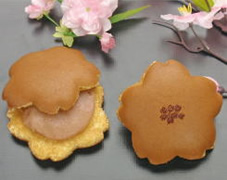 桜どら焼き