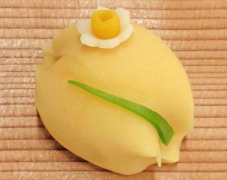 上生菓子 主菓子