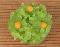 上生菓子 主菓子