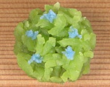 上生菓子 主菓子