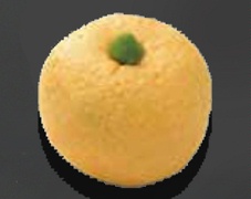 上生菓子 主菓子