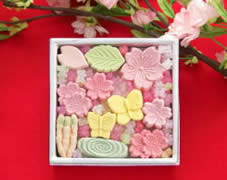 春限定 干菓子（桜づくし）