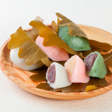 かしわ餅　柏餅　東京 老舗