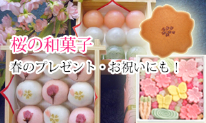 桜 お花見 和菓子 ギフト 東京 老舗